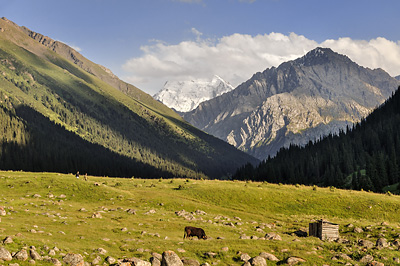 photo voyage asie centrale kirghizstan kirghizistan kirghizie kyrgyzstan karakol lac ala kol randonnee trek altyn arashan