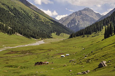 photo voyage asie centrale kirghizstan kirghizistan kirghizie kyrgyzstan karakol lac ala kol randonnee trek altyn arashan