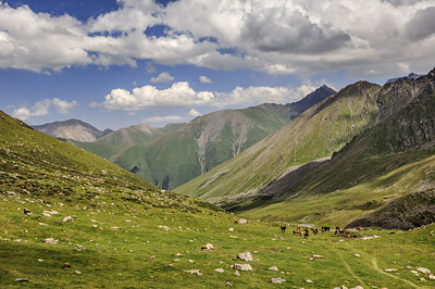 photo voyage asie centrale kirghizstan kirghizistan kirghizie kyrgyzstan karakol lac ala kol randonnee trek