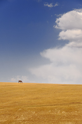 photo voyage asie centrale kirghizstan kirghizistan kirghizie kyrgyzstan lac song köl son koul