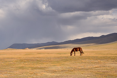 photo voyage asie centrale kirghizstan kirghizistan kirghizie kyrgyzstan lac song köl son koul