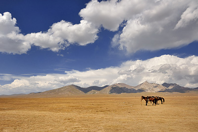 photo voyage asie centrale kirghizstan kirghizistan kirghizie kyrgyzstan lac song köl son koul