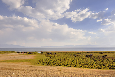 photo voyage asie centrale kirghizstan kirghizistan kirghizie kyrgyzstan lac song köl son koul