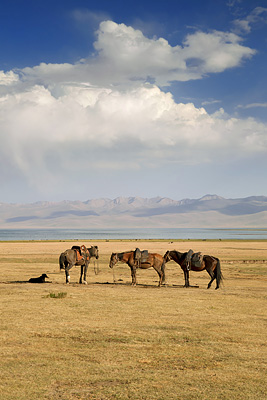 photo voyage asie centrale kirghizstan kirghizistan kirghizie kyrgyzstan lac song köl son koul