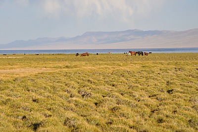 photo voyage asie centrale kirghizstan kirghizistan kirghizie kyrgyzstan lac song köl son koul