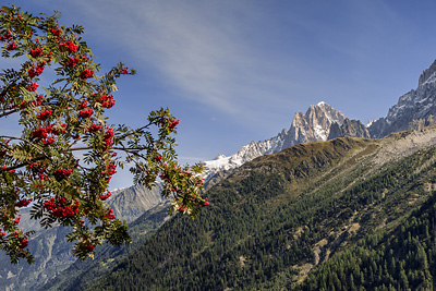 photo montagne alpes chamonix mont blanc jonction glacier bossons taconnaz