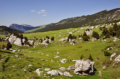 photo montagne alpes randonnée chartreuse aulp du seuil vallon marcieu plateau