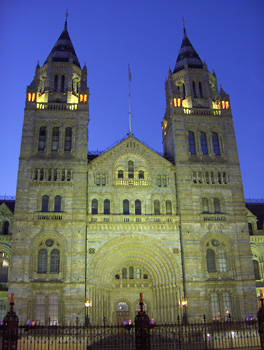 Londres nuit Natural History Museum
