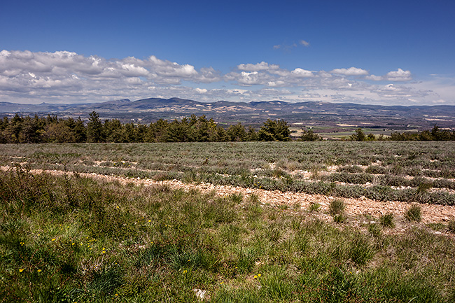 photo montagne alpes tour luberon velo