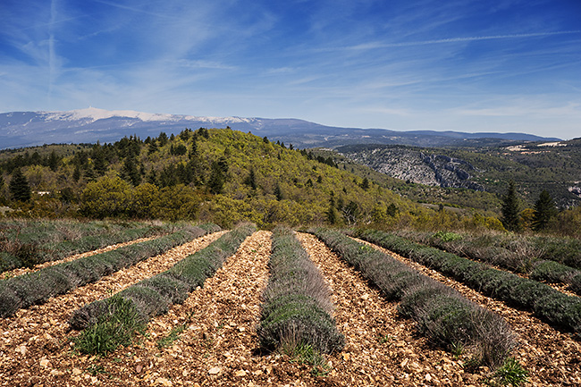 photo montagne alpes tour luberon velo