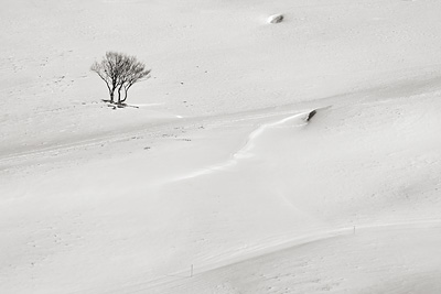 photo montagne randonnée vercors plateau moliere charande