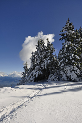 photo montagne randonnée vercors plateau moliere charande