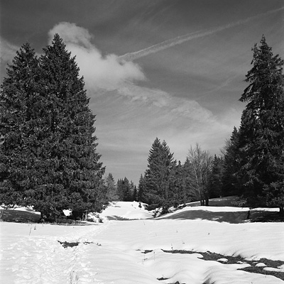 photo montagne randonnée vercors plateau moliere charande