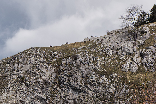 photo montagne alpes randonnee rando bauges mont armenaz