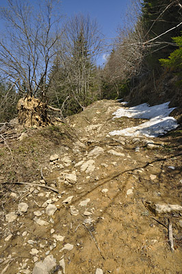 photo montagne alpes randonnée chartreuse mont grele