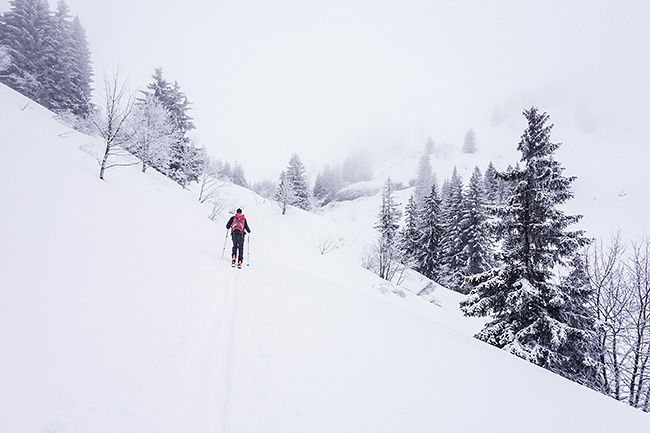 photo montagne alpes randonnée rando ski savoie beaufortain val d'arly mont de vores