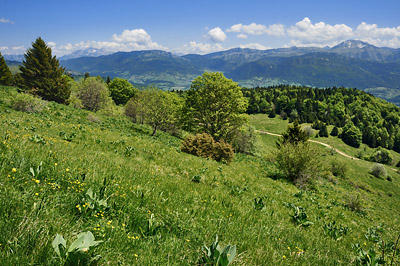 photo montagne alpes bauges randonnée montagne bange