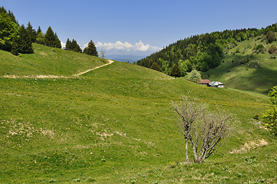 photo montagne alpes bauges randonnée montagne bange creux lachat