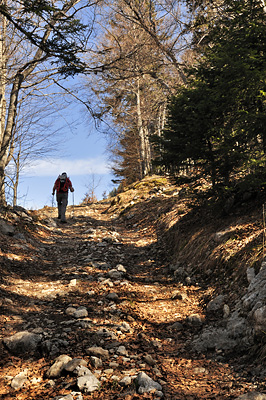 photo montagne randonnée vercors moucherotte plateau ramees