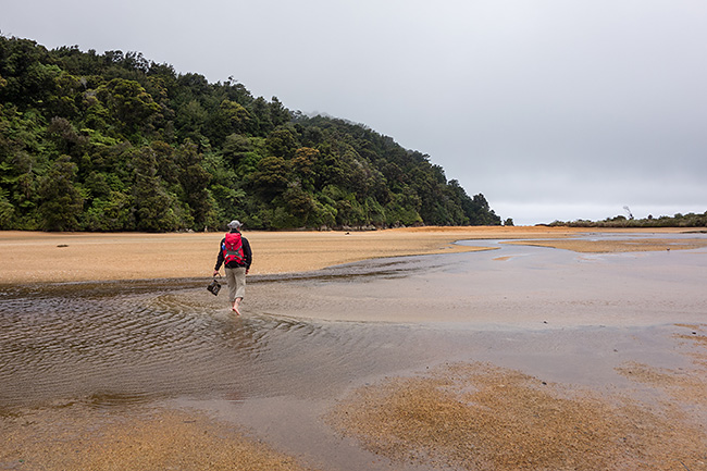 photo voyage nouvelle zelande abel tasman national park coast track rando randonnée trek kayak great walk