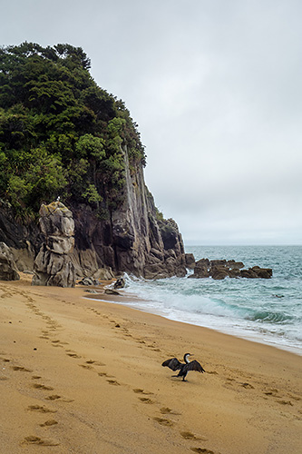 photo voyage nouvelle zelande abel tasman national park coast track rando randonnée trek kayak great walk