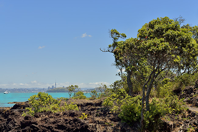 photo voyage nouvelle zelande auckland