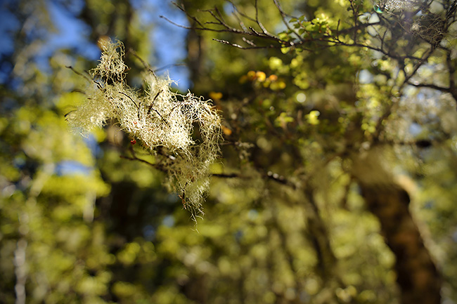 photo voyage nouvelle zelande kepler track fiordland milford sound