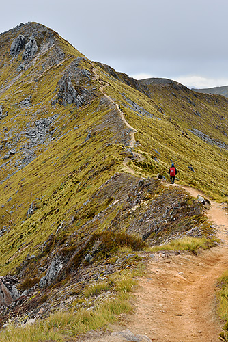 photo voyage nouvelle zelande kepler track fiordland milford sound