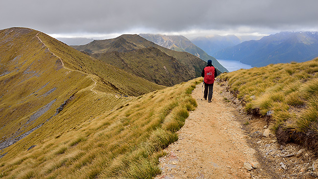 photo voyage nouvelle zelande kepler track fiordland milford sound