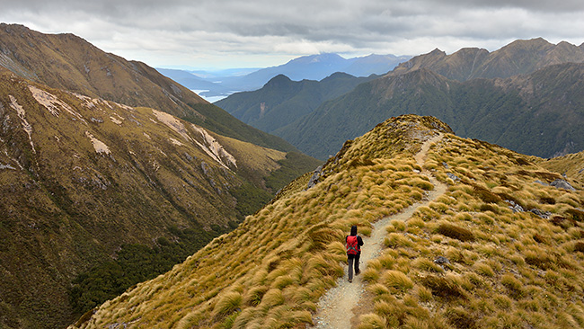 photo voyage nouvelle zelande kepler track fiordland milford sound