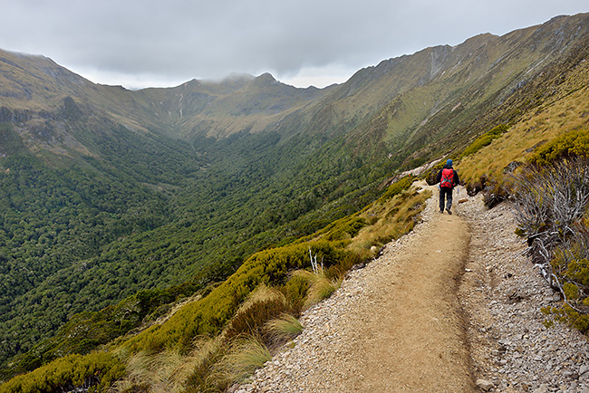 photo voyage nouvelle zelande kepler track fiordland milford sound