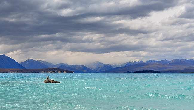 photo voyage nouvelle zelande tekapo