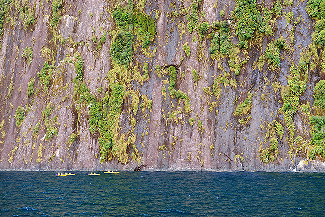 photo voyage nouvelle zelande te anau fiordland milford sound