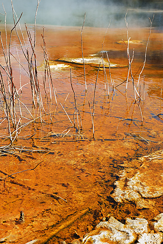 photo voyage nouvelle zelande rotorua wia-o-tapu