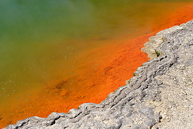 photo voyage nouvelle zelande rotorua wia-o-tapu