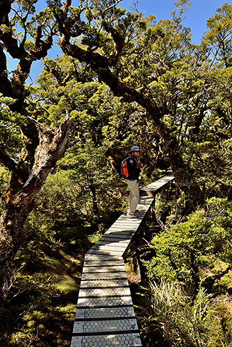 photo voyage nouvelle zelande fiordland routeburn track key summit