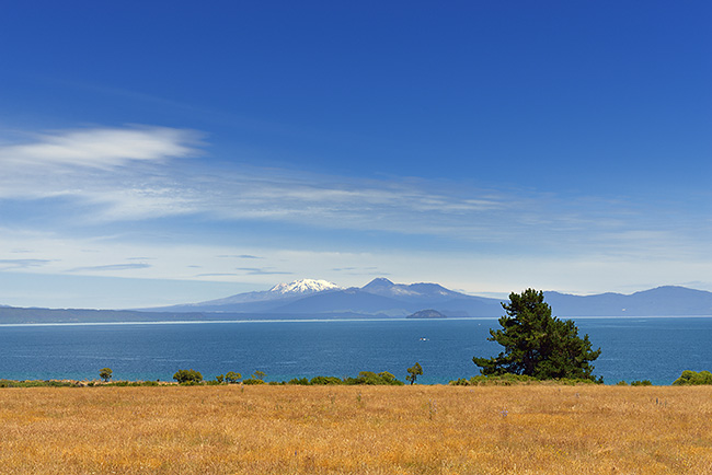 photo voyage nouvelle zelande tongariro