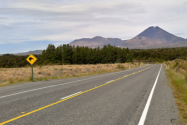 photo voyage nouvelle zelande tongariro