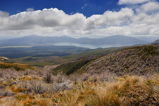 photo voyage nouvelle zelande tongariro