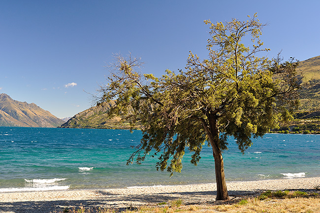 photo voyage nouvelle zelande wanaka mont ismuth queenstown