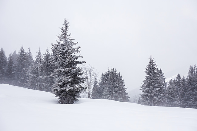 photo montagne alpes ski randonnée rando savoie aravis megeve croisse baulet