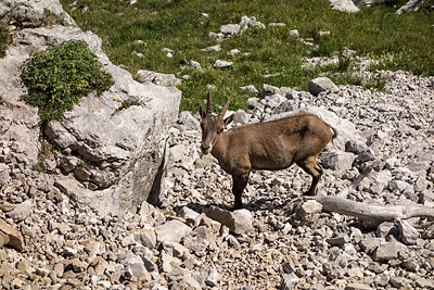 photo montagne alpes bornes aravis pic jallouvre