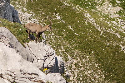 photo montagne alpes bornes aravis pic jallouvre