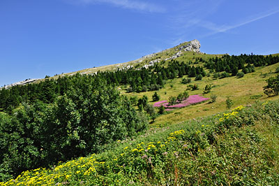 photo montagne alpes randonnée vercors pic saint michel