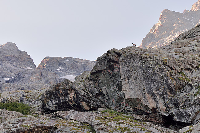 photo montagne alpes randonnee rando ecrins valgaudemar refuge chabourneou pic vallonpierre