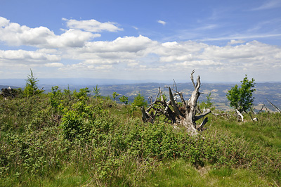 photo montagne randonnée pilat cret oeillon