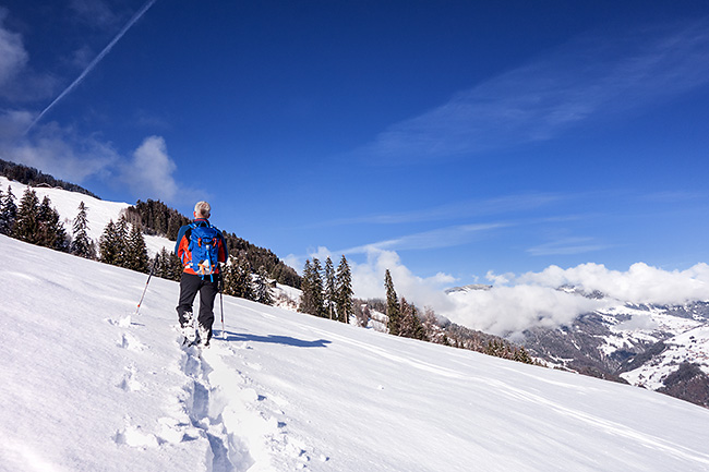 photo montagne alpes randonnée rando raquettes savoie beaufortain areches plan villard