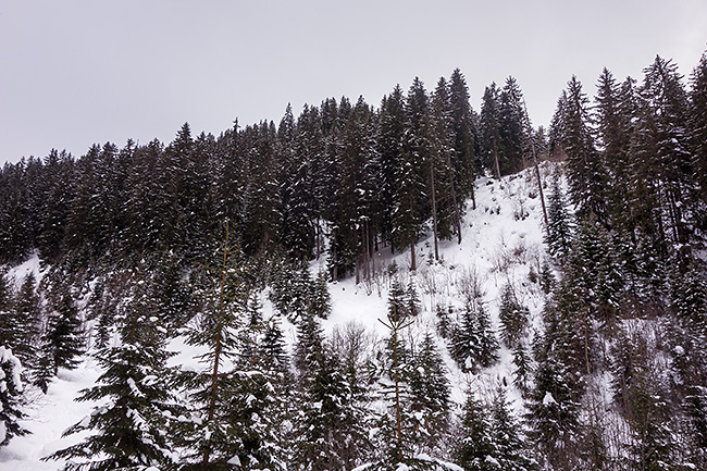 photo montagne alpes randonnée rando ski savoie beaufortain beaufort arêches pointe dard