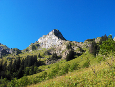 photo montagne alpes randonnée Pointe de Mandallaz forêt paysage