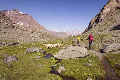 photo montagne alpes haute maurienne alpes grees averole charbonnel